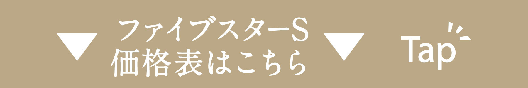 ファイブスターS価格表